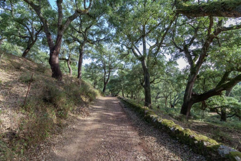 Finca Montemateo Navahermosa  Buitenkant foto